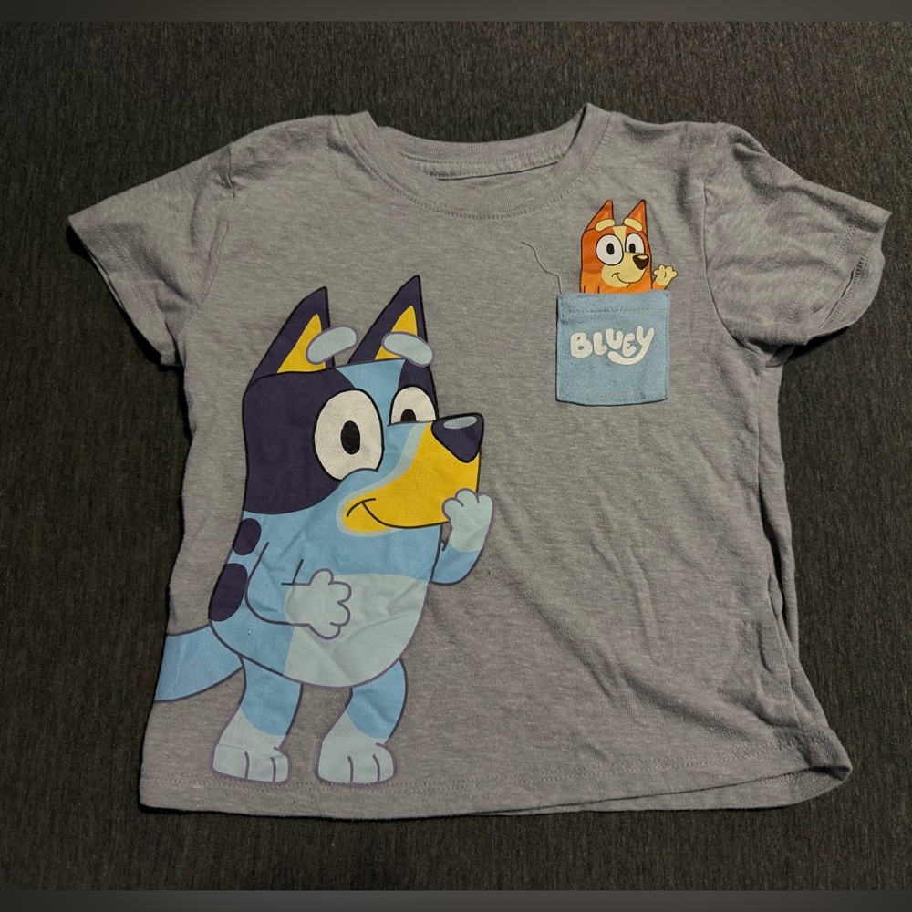 Disney Bluey Gray and Blue Kids Tee